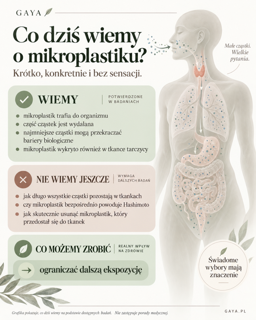 Co wiemy o mikroplastiku - najważniejsze wnioski